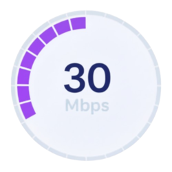 Fibre 30 Mbps