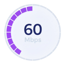 Fibre 60 Mbps